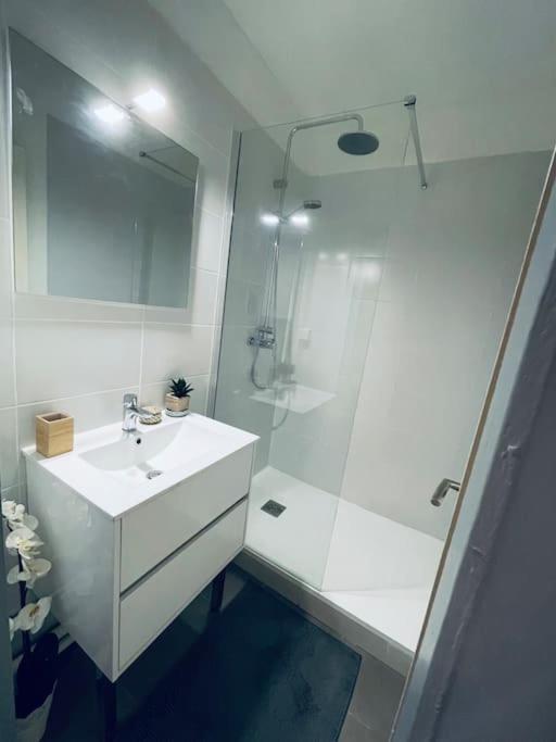 Appartement En Centre Ville, Wifi Et Tram Montpellier Exterior photo